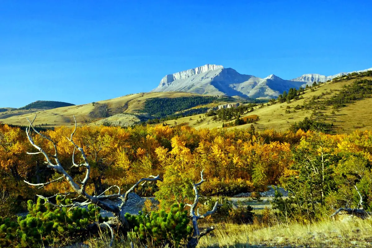 Choteau, Montana